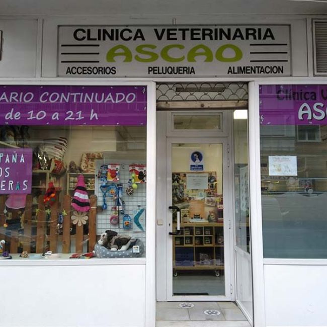 veterinario Madrid