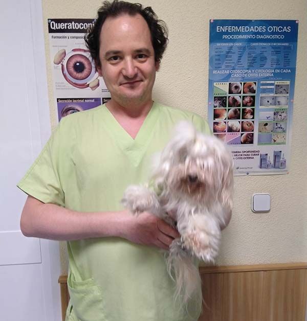 madrid clinica veterinaria