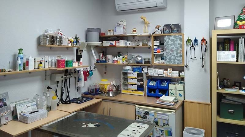 instalaciones veterinaria Madrid